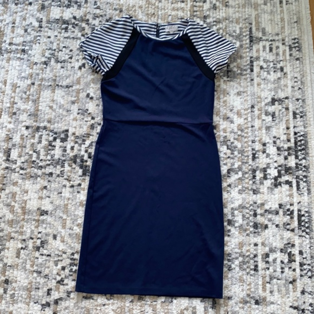 Renvy Navy‎ Blue Dress